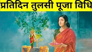 प्रतिदिन तुलसी पूजा विधि । पूजा में भूलकर भी यह गलतियां ना करें । तुलसी पूजा कैसे करें । Tulsi puja