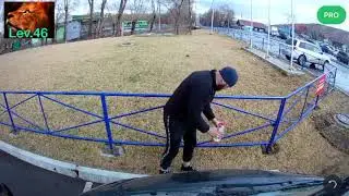Красноярск и течь масленный фильтр