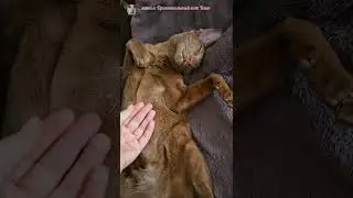 The best birthday activity😸🎉 