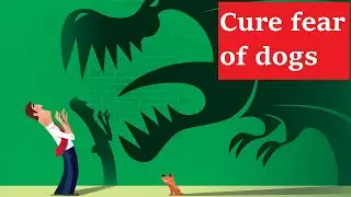 A woman who has been afraid of dog for 40 years Cure fear of dog Psychology training class fear dog