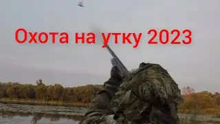 Зачетная охота на утку с МР-155