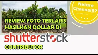 REVIEW FOTO TERLARIS YANG HASILKAN DOLLAR SETIAP HARINYA  DI SHUTTERSTCOK CONTRIBUTOR