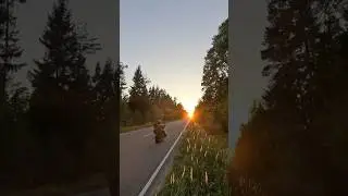 shovelhead oil nature lines #shovelheadchopper