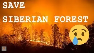 Siberia Is Still Burning