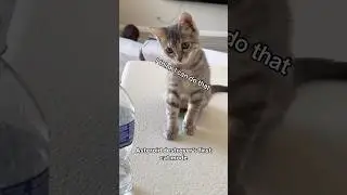 A minute of Asteroid Destroyer