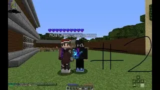 Minecraft Survive #2 Überall Skelette