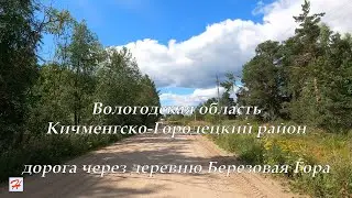 Дорога через деревню Березовая Гора (Кичменгско-Городецкий район)