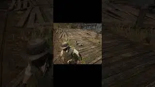 RDR 2 Dog Poops #rdr2 #shorts