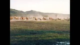 Norman Luboff Choir - Home On The Range.avi