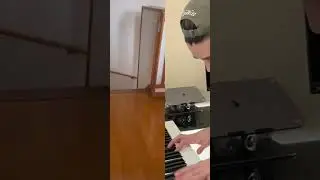 Jazz Cat 🐈