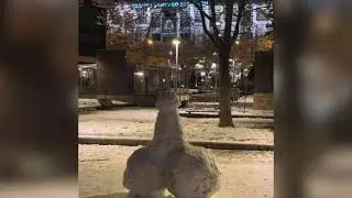 FIGURAS PORNO 🌶️🌶️🌶️  con nieve 🥶 ❄️