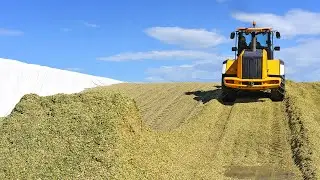 Биоконсервант для заготовки сенажа