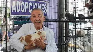 Conoce a nuestros amigos en adopción!