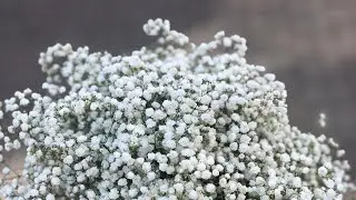 Букет невесты