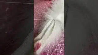 Неделя работы за пару секунд!