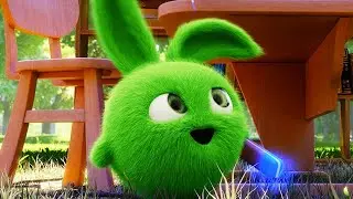 Sunny Bunnies – BORRADOR MÁGICO | Dibujos animados para niños | WildBrain en Español