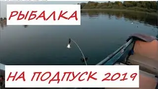 Рыбалка на подпуск в июне 2019г. Ловля леща на р.Волга.