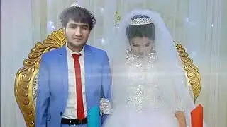 БОБОРАЧАБ ТУЁНА НАВ ПРИКОЛ КАРД НЕИН