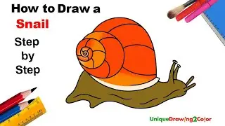 How to Draw a Snail (Step by Step Drawing Tutorial)