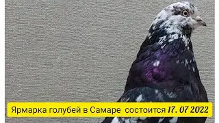 Николаевские голуби.Небольшое обьявление.