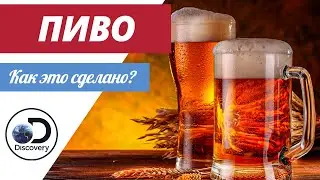 Пиво | Как это сделано?