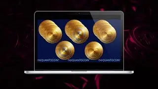 QUANTOCOIN Обзор компании