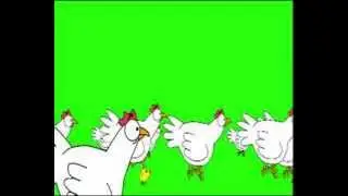green screen chickens /green screen prophets