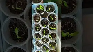 Первое свидание....классный😳
