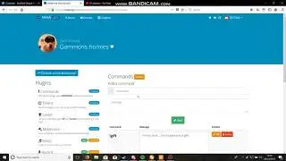 quick tutorial on how to use Mee6 bot for Discord