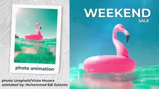 Photo Animation - Motion Graphics for Social Media Post (Flamingo Weekend Sale)