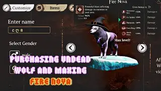 Purchasing undead wolf & maxing fire nova on my lv1 hp || The wolf