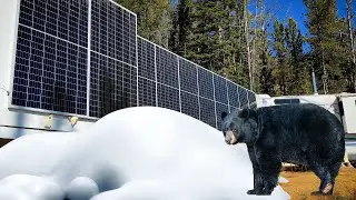 This off-grid family live here because of the view