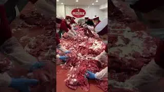 Her gün tonlarca kilo döner #reklam Peçenek Döner