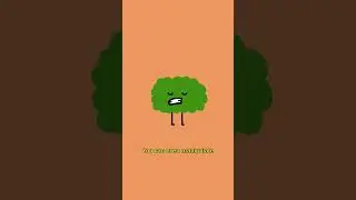 Why Do Farts Have Different Sounds? 🍑💨