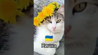 Как на разных языках звучит слово 