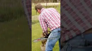 every chainsaw artist
