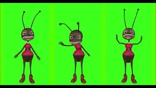 ANT #4 || GREEN SCREEN || 4k || ANIMATION  || FREE 3D