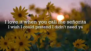 Señorita - Shawn Mendes & Camila Cabello