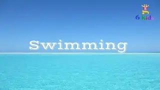 Sport - Swimming 🏊‍♂️
