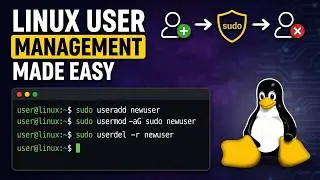 How to Add and Remove Users in Linux (Beginner Tutorial)