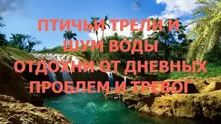Пение птиц и звуки волн для отдыха и снятия стресса.  Звукотерапия. / Звуки природы. Relax