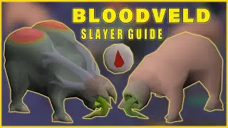 Mutated Bloodveld Melee Slayer Guide OSRS