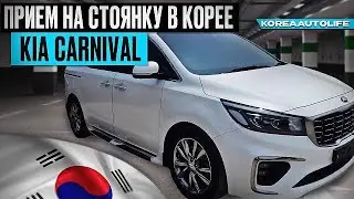 Прием на стоянку выкупленных автомобилей в Корее