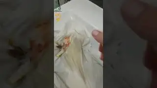 Плямовивідник з активним киснем. Новинка 