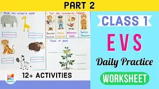 Part#2 | Class 1 EVS Worksheet | EVS Worksheet for class 1 | Class 1 Syllabus Helpers, Body Parts