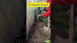 Эх пырей 😂 Дачники поймут 