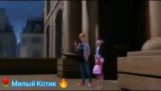 Клип Леди Баг и Супер Кот - Всё равно