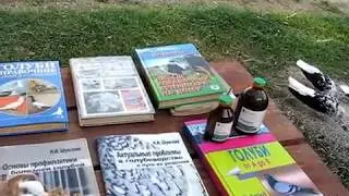 Николаевские голуби Сергея Родионова (Итоги вакцинации...). Волгоград. Часть 41.