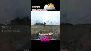 Заметил? Поиск под музыку.