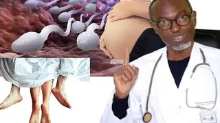 regardez la vidéo du docteur traditionnel pour finir infertilité stérilité